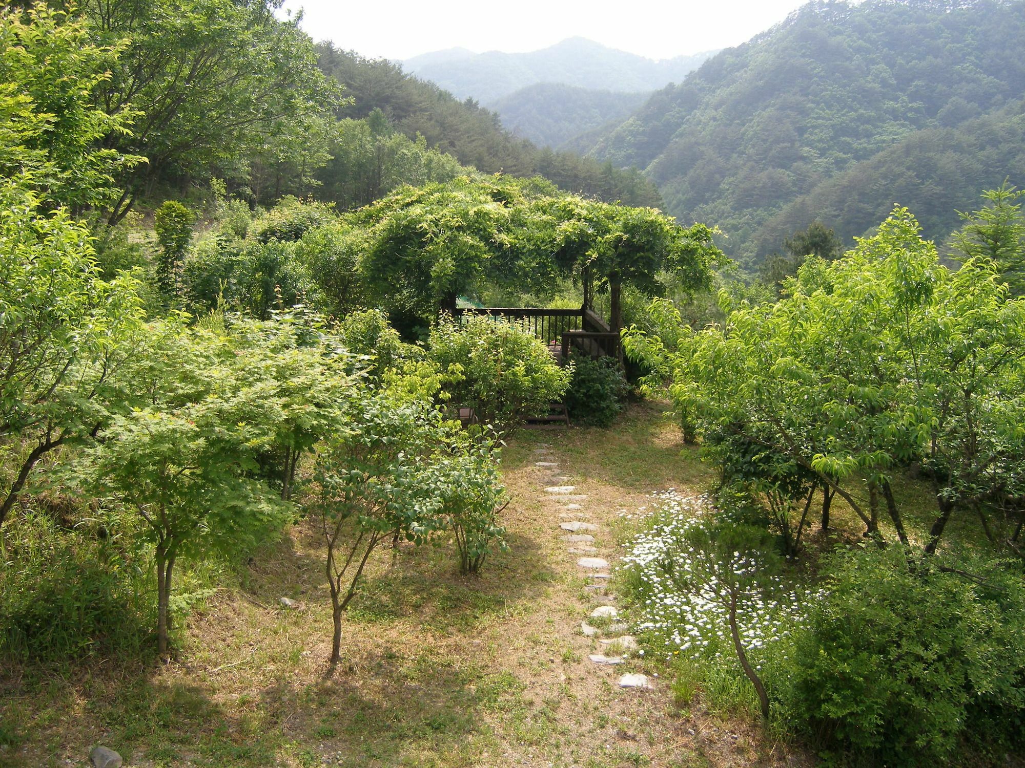 Fairy Tale Pension Pyeongchang Buitenkant foto